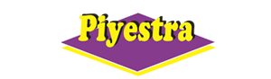 logo 1 300x88